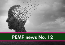 PEMF-Forschung bei Alzheimer